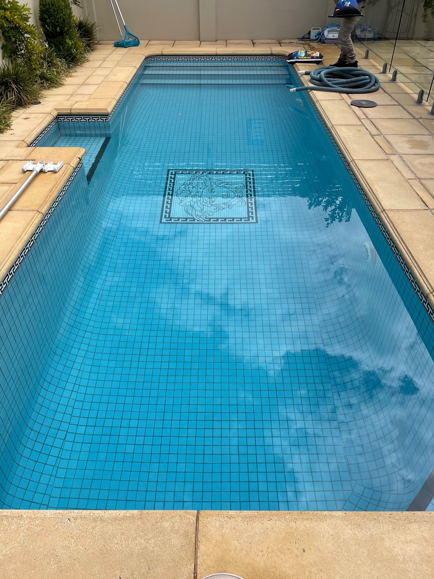 Pool Clean Hyde Park 2